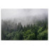Фото #1 товара Картина A.S. Création Лес в тумане