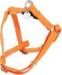 Zolux Szelki regulowane Mac Leather 25 mm - pomarańczowy