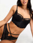 Фото #8 товара Dorina Esme light padded bustier in black