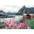 Фото #4 товара Головоломка Ravensburger 16740 Lofoten - Norway 1000 Предметы