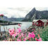 Головоломка Ravensburger 16740 Lofoten - Norway 1000 Предметы