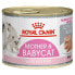 ROYAL Mother BabyBox 195g Cat Snack 12 Units - фото #2