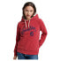 SUPERDRY Vintage Pride & Craft hoodie