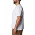 Фото #3 товара COLUMBIA Rockaway River™ Back Graphic short sleeve T-shirt