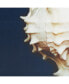 Фото #4 товара Ocean Seashells 4-Pc. Framed Canvas Print Set