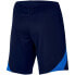 Фото #2 товара Shorts Nike Dri-FIT Strike 23 M DR2314 451