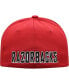 ფოტო #5 პროდუქტის Men's Cardinal Arkansas Razorbacks Reflex Logo Flex Hat