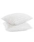 Won't Go Flat 2-Pack Pillows, Standard/Queen