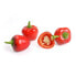Véritable 3760262511191 - Edible plant - Red bell pepper - Refill - Fast grower (3-5 weeks)
