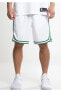 Фото #2 товара NBA Boston Celtics Association Edition Swingman Home 18 Short FW18 Erkek Şort