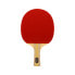 Фото #1 товара SOFTEE P 900 Pro Table Tennis Racket