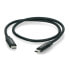 USB C - USB C 2.0 cable Lanberg black premium QC 4.0 PD 0,5m