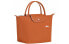 Сумка LONGCHAMP Le Pliage 1621619P39