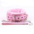 Фото #1 товара Collar with Leash Pastel Pink