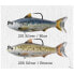 LIVE TARGET Common Shiner swimbait 21g 100 mm