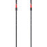 LEKI Spin Poles