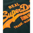 SUPERDRY Neon Vl Graphic Fitted short sleeve T-shirt