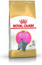 Фото #1 товара Royal Canin British Shorthair Kitten karma sucha dla kociat, do 12 miesiaca, rasy brytyjski krotkowlosy 0.4kg