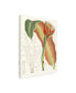 Фото #2 товара Curtis Tropical Variety VII Canvas Art - 15.5" x 21"