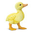 Фото #2 товара SAFARI LTD Duckling Figure