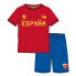 Фото #1 товара Спортивный костюм детский CERDA GROUP Eurocup Испания