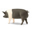 Фото #2 товара SAFARI LTD Hampshire Pig Figure