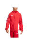 Олимпийка Adidas Tiro24 Wb Erkek Sports Coat