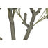 Фото #3 товара Дерево Home ESPRIT полиэтилен Цемент Эвкалипт 80 x 80 x 220 cm
