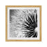 Фото #1 товара Bild Pusteblume Schwarz & Weiß IV