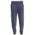 Фото #1 товара Diadora 2030 Pants Mens Blue Casual Athletic Bottoms 179394-60063