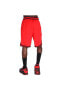 Фото #5 товара Chicago Bulls Dri-Fit NBA Erkek Kırmızı Basketbol Şortu DN9132-657