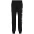 EA7 EMPORIO ARMANI 8NPPB5_PJ07Z pants