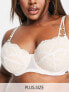 Фото #1 товара We Are We Wear Curve nylon blend padded plunge bra with hardwear detail in white