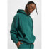 JUST RHYSE Winterland hoodie