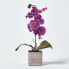 Фото #4 товара Künstliche Orchideen im 2er-Set 40 cm