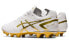 Кроссовки Asics Ds Light 1103A069-122