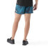 Фото #2 товара SMARTWOOL Active Lined 5´´ shorts