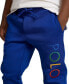 ფოტო #5 პროდუქტის Toddler and Little Boys Ombre-Logo Double-Knit Jogger Pants