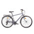 Фото #1 товара OLMO Borgo Man 7s 2024 bike