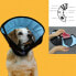 Elizabethan Dog Collar KVP Calmer Multicolour (33-43 cm)