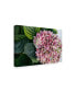 Фото #2 товара American School Hydrangea Closeup Canvas Art - 20" x 25"