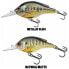 Фото #2 товара LIVE TARGET Bluegill BG70S Floating Crankbait 70 mm 14g