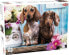 Фото #1 товара Tactic Puzzle 1000 Dashing Dachshunds (58314)