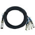 Фото #1 товара BlueOptics DAC-Q28-S28-5M - 5 m - QSFP28 - 4x SFP28 - Male/Male - Black - 100 Gbit/s