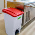 Фото #5 товара DENOX 23300.254 60L Selective Trash Bin