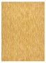 Modern Fisy Teppich Sisal 20776