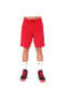 Фото #1 товара Air Jordan Jumpman Nba Erkek Kırmızı Basketbol Şort Ck6707-687