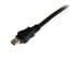 Фото #9 товара StarTech.com 6 ft USB Y Cable for External Hard Drive - USB A to mini B - 1.8 m - Mini-USB B - 2 x USB A - USB 2.0 - Male/Male - Black - Red