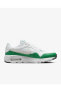 Erkek Sneaker Beyaz-yeşil Cw4555-110 Aır Max Sc