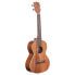 Фото #3 товара Kala KA-TG Gloss Tenor Ukulele